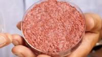 永生干细胞可无限供应人造肉 网友：这不是癌细胞？