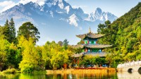 旅游企业大翻身：上半年景区游客大幅增长、酒店复苏