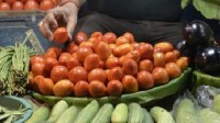 西红柿价格飙升 印度农民成百万富翁：有人日赚15万