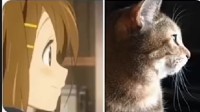 日漫角色长得不像日本人登热搜 动漫迷：按照猫画的