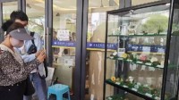 云南一医院设置野生毒菌展示柜：在这上面的都别吃