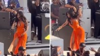 Cardi B Reacts to Drink Being Thrown Onstage