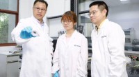 我国科学家研发弹性铁电材料：拓展使用范围