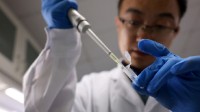 重大突破！我国实现从二氧化碳到糖的精准全合成