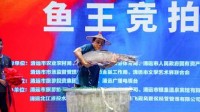 清远40斤“鱼王”拍出30万高价 买家当场放生