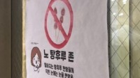 韩国人为什么痴迷糖葫芦？有店家设立禁止糖葫芦区