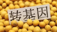 欧美人不吃转基因类食品？官方回应：别传谣了