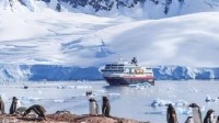中国在南极意外发现海上粮仓 蕴含丰富海洋生物资源