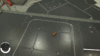 玩家发视频称赞《星空》的物理效果：土豆