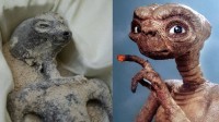 墨西哥疑似“外星生物”遗骸引热议 网友:和ET太像了