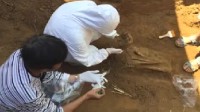无锡重大考古发现：成功获取6000年前古人类DNA 