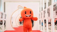 淘宝成立新电商公司 取名叫“壮壮”