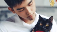 陳飛宇首次回應弄丟妖貓傳的貓：看辛柏青演戲太入迷