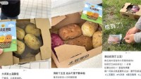 大润发土豆面包火出圈 二手平台炒到10倍仍被疯抢