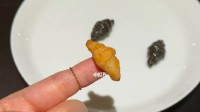 4个拇指大的超迷你可颂卖20元？网友：不就智商税！