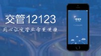 黄牛入侵交管12123系统被判刑：非法操作300多次