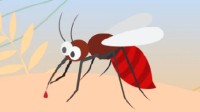 未来蚊虫或全年无休？昆虫学家称因全球变暖