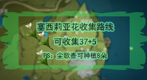 《原神》4.1版本温迪突破材料收集教程