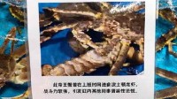 “上班吃同事”的蟹被盒马挂了 网友：凭本事涨身价