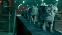 沟通现实和游戏！《最终幻想7：重制版》制作人的猫被做进了游戏中