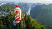 茅台涨价：11月1日起53度出厂价格平均上调约20％