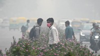 印度首都成全球空气污染最严重城市：不鼓励油车上路