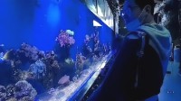 小伙酷爱养鱼 在自家厕所里建海洋馆隐居6年