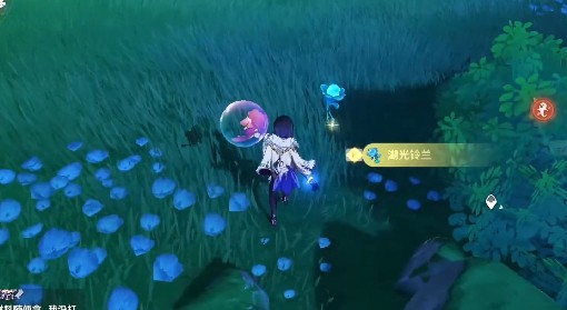 《原神》4.2湖光铃兰采集路线领跑