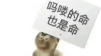 一夜之间 “吗喽”占领了年轻人的生活圈