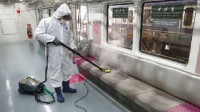 欧洲臭虫危机蔓延至韩国 紧急成立“臭虫应对部”