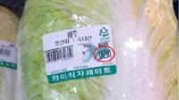 韩国白菜曾卖到100块1颗 甚至有人专门到中国吃肉