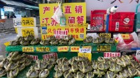 为什么越来越少人吃大闸蟹了：8元一只都卖不动