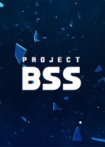 Project BSS