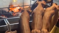 中国“肌肉猪”卖到8万没人吃 国外却奉为极品