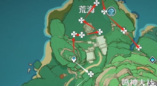 《原神》绯樱绣球快速采集路线 原神绯樱绣球怎么采集