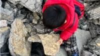 5岁男孩发现5亿年前古生物化石 网友:从此爱上考古