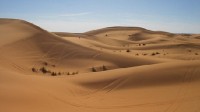 全球正面临沙子短缺危机 开采量仅次于水的自然资源