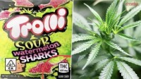 日本软糖中发现近似大麻成分 数十人食用被紧急送医