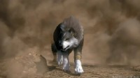 《FF16》狼崽托加尔新增细节 对希德的印象令人泪目
