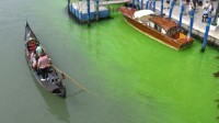 意大利环保人士将威尼斯大运河染成绿色 市长谴责