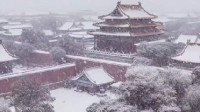 红墙白雪 故宫的雪景也太美了：有种穿越历史的感觉