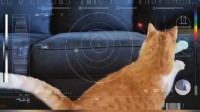 NASA用激光在太空发送超高清视频 主角是一只小猫