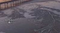 真的“冻江”了 钱塘江冻出冰雪潮汐树很震撼