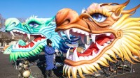 外交部回应春节成联合国假日:春节是中国的也是世界的