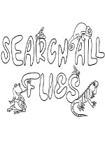 SEARCH ALL - FLIES