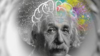 博物馆谈爱因斯坦大脑切片来中国展出：值得讨论