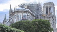 巴黎圣母院修复设计遭抗议：换现代窗户是破坏公物