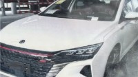 定速巡航失灵 高速狂开50分钟留遗言：车主要求退车