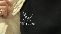 始祖狗服饰悄然走红 网友调侃：比始祖鸟更有性价比