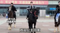 这也太宠了！河南漯河拿真百万汗血宝马载公主回家